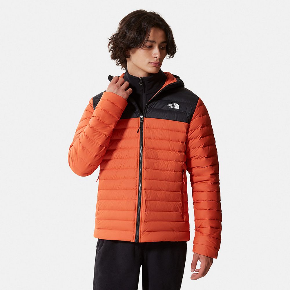 The North Face Winter Jacket Mens Australia - The North Face Stretch Hooded Orange / Black Hiking (Y